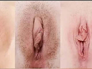 گرم ، شہوت انگیز ہم جنس پرست babes ویڈیو کو انجام دینے دانلود سکس ترکیه ای کے ایک حیرت انگیز threesome کے سوفی پر