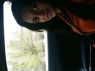 ہلکا سرخ سر کیلیکو ہو جاتا ہے سگسی ترکی فکسڈ اور polishes اس کے گیلے بلی